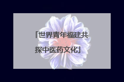 世界青年福建共探中医药文化